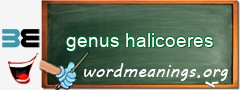 WordMeaning blackboard for genus halicoeres